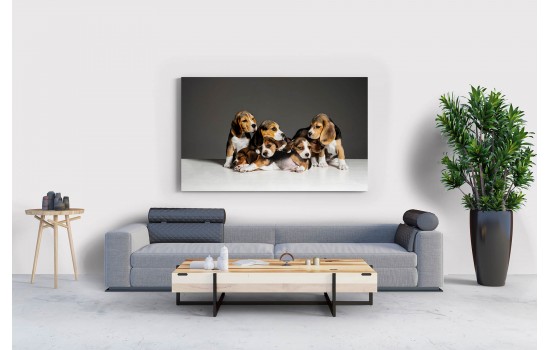 Sevimli Kardeş Köpekler Tablosu