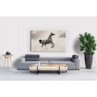 İlüstrasyon At Tablosu