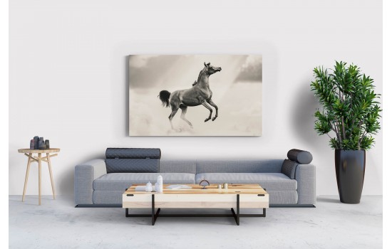 İlüstrasyon At Tablosu