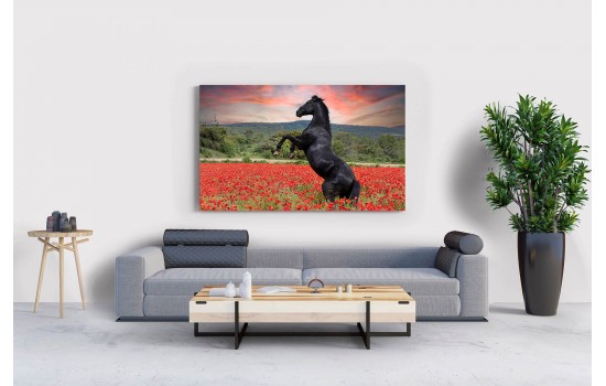 Şahlanan Siyah At Tablosu