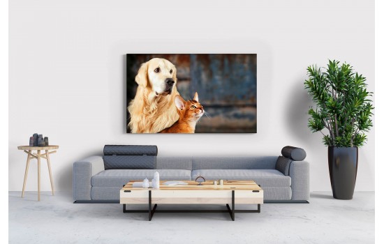 Kedi ve Köpek Dostluğu Tablosu