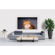 Sevimli Turuncu Kedi Tablosu