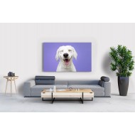 Gülen Köpek Tablosu