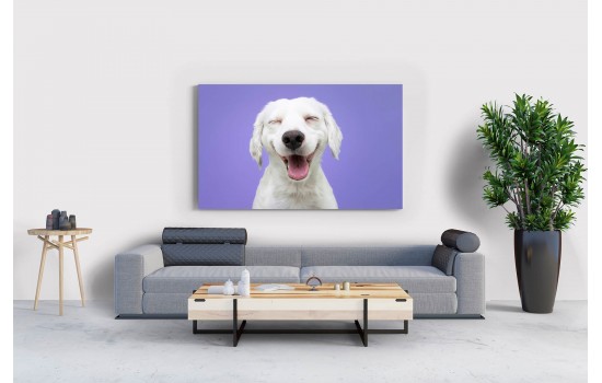 Gülen Köpek Tablosu