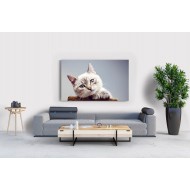 Sevimli Bakan Kedi Tablosu