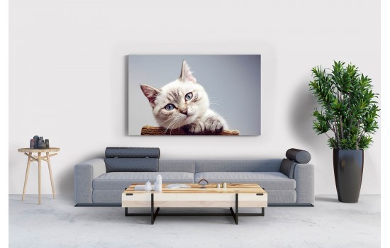 Sevimli Bakan Kedi Tablosu