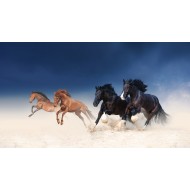 Vahşi Atlar Tablosu