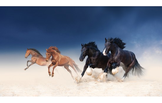 Vahşi Atlar Tablosu