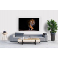 İlüstrasyon Kaplan Tablosu