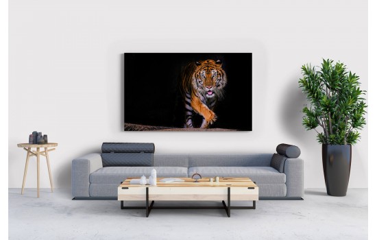 İlüstrasyon Kaplan Tablosu