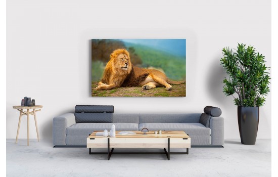 Ormanın Kralı Aslan Tablosu