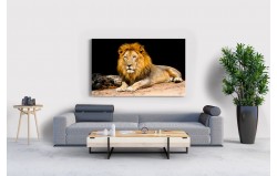 İlüstrasyon Aslan Tablosu