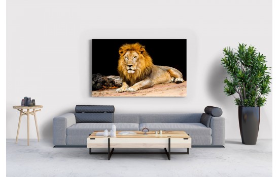 İlüstrasyon Aslan Tablosu