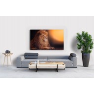 İlüstrasyon Aslan 2 Tablosu