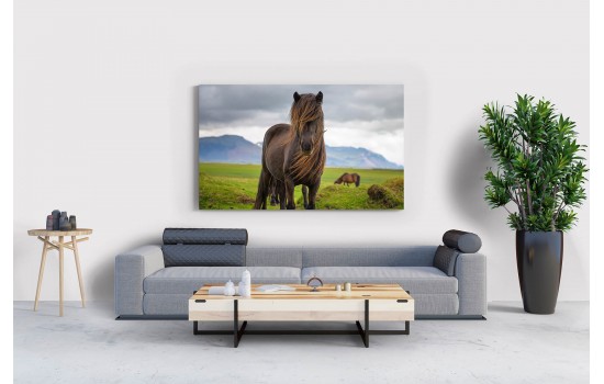 Doğada İskandinav Atı Tablosu