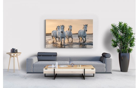 Özgürce Koşan Atlar Tablosu
