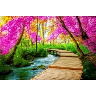 Hırvatistan Plitvice Gölü Tablosu