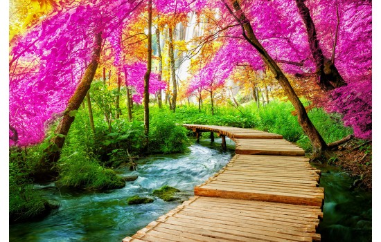 Hırvatistan Plitvice Gölü Tablosu