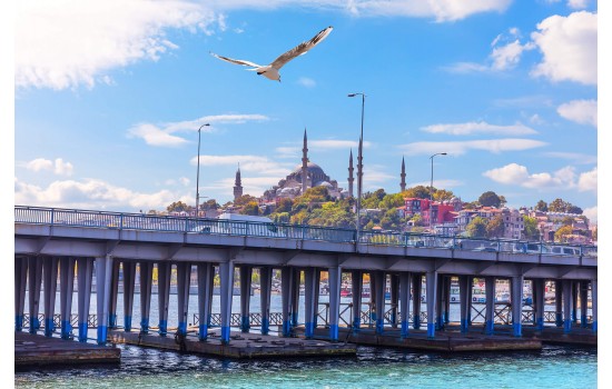 Süleymaniye Semalarında Uçan MartıTablosu Süleymaniye Semalarında Uçan MartıTablosu