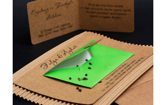 Alyans Düğün Davetiyesi 2009